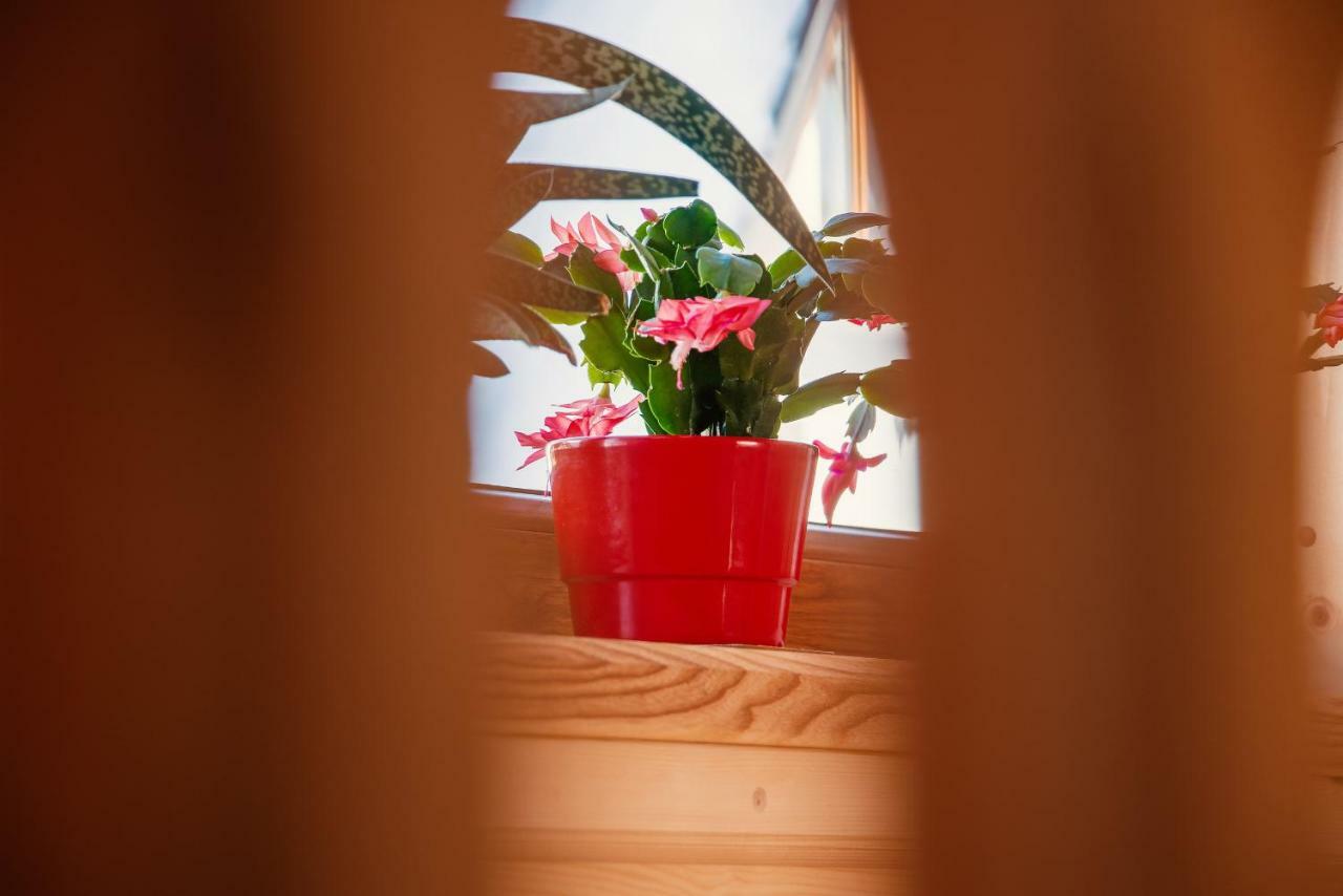 Domki Pod Jemiola Zakopane Ngoại thất bức ảnh